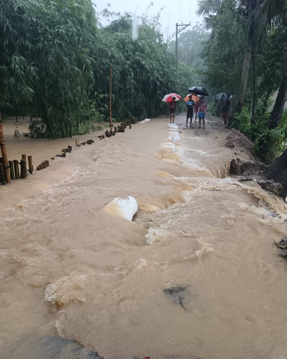 FB_IMG_1751964367828 FB_IMG_1751964367828