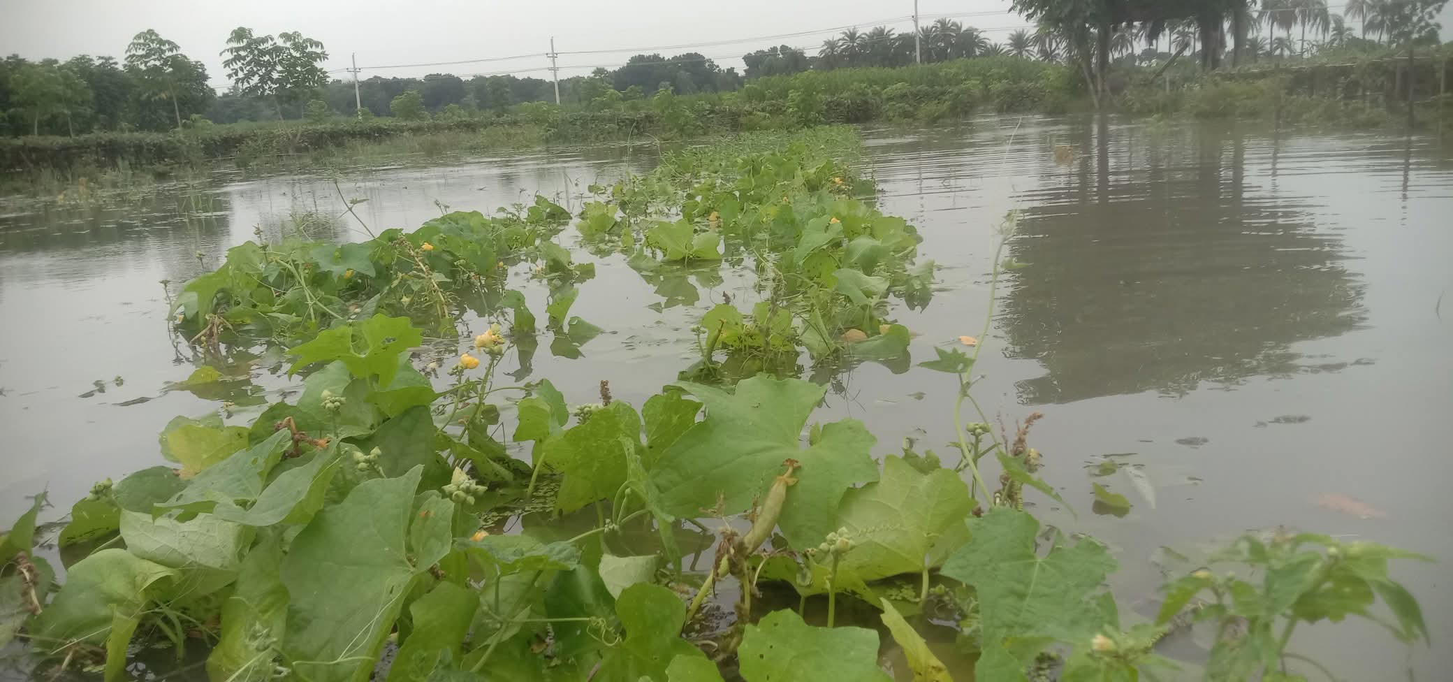 FB_IMG_1752588402944 FB_IMG_1752588402944