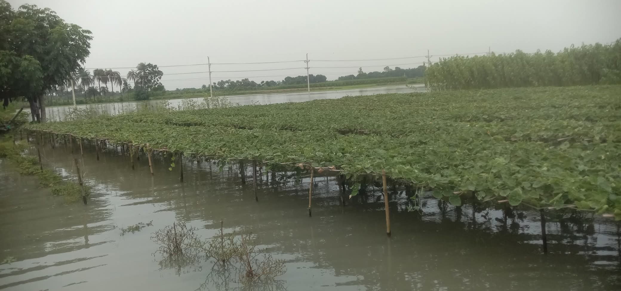 FB_IMG_1752588407648 FB_IMG_1752588407648