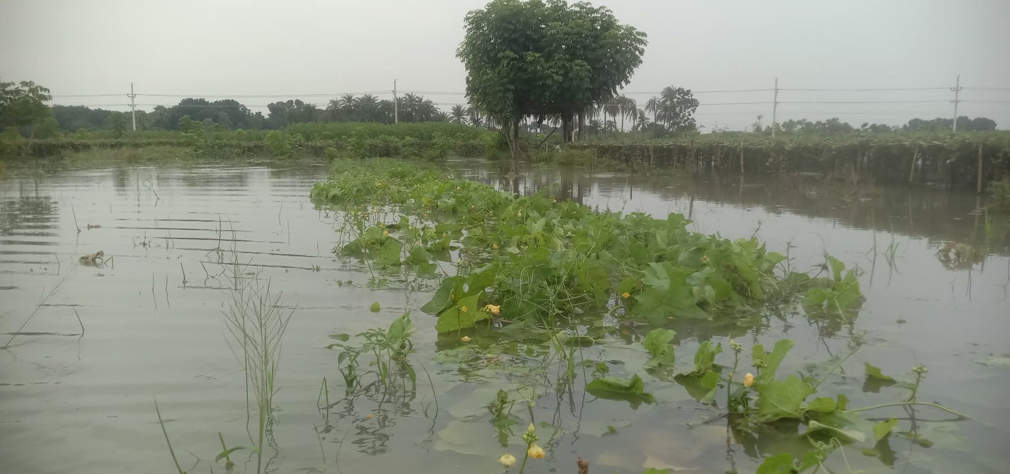 FB_IMG_1752588412982 FB_IMG_1752588412982