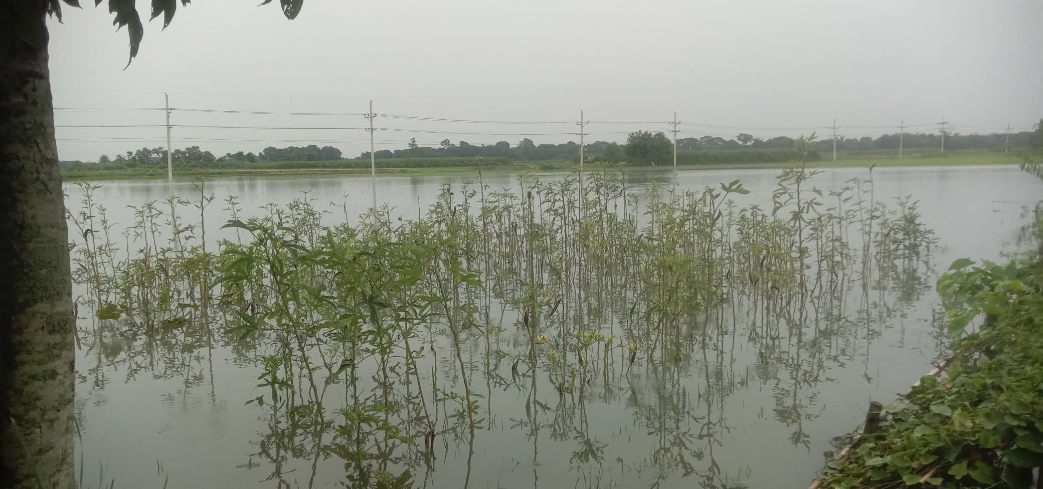 FB_IMG_1752588422582 FB_IMG_1752588422582