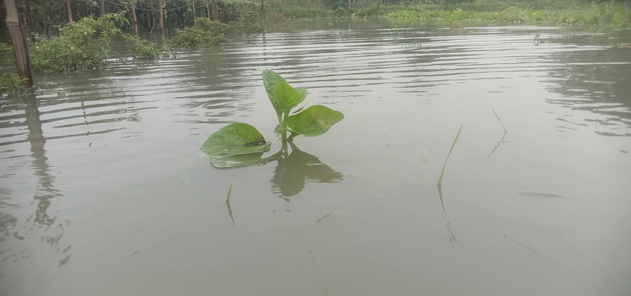 FB_IMG_1752588425299 FB_IMG_1752588425299