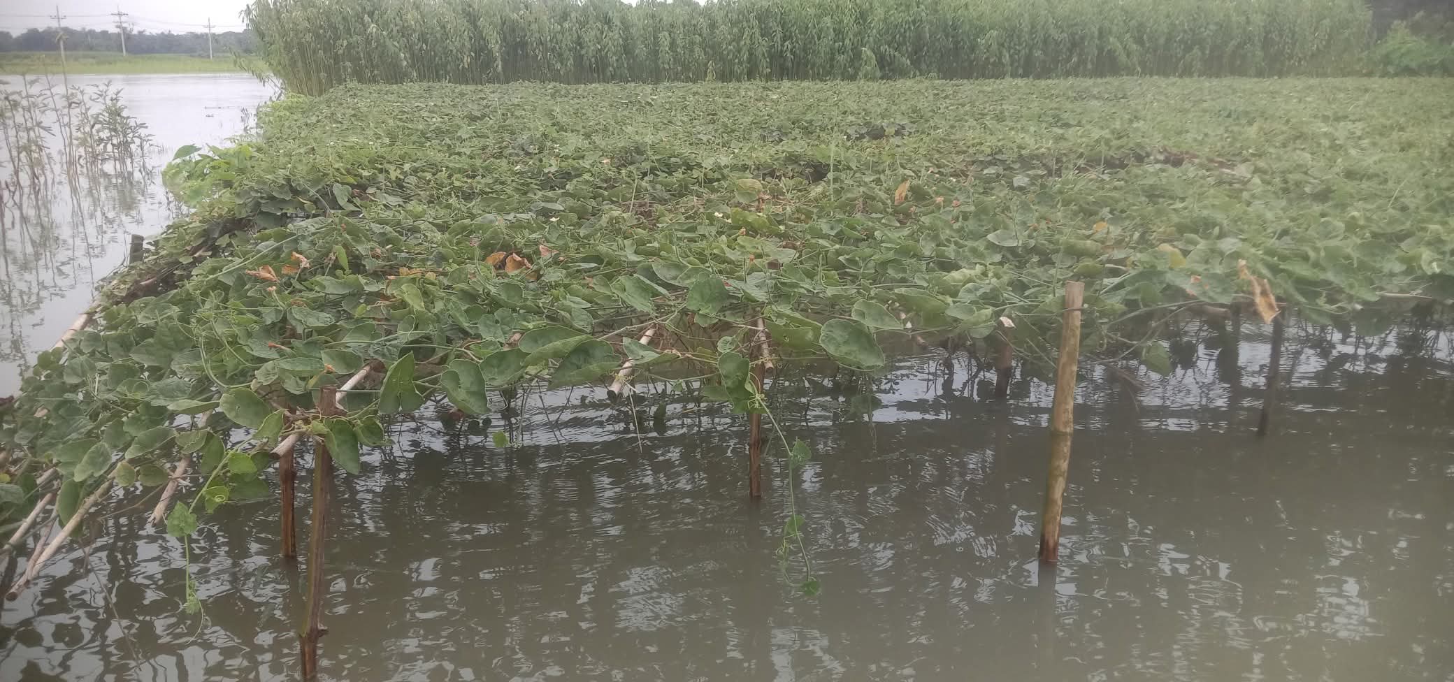 FB_IMG_1752588432278 FB_IMG_1752588432278