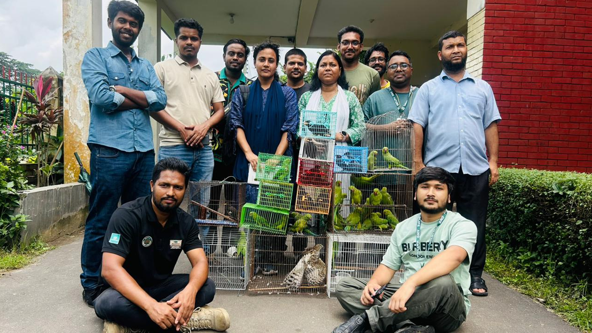 রাজধানীতে বন বিভাগের অভিযানে ৫০ দেশীয় বন্যপ্রাণী উদ্ধার