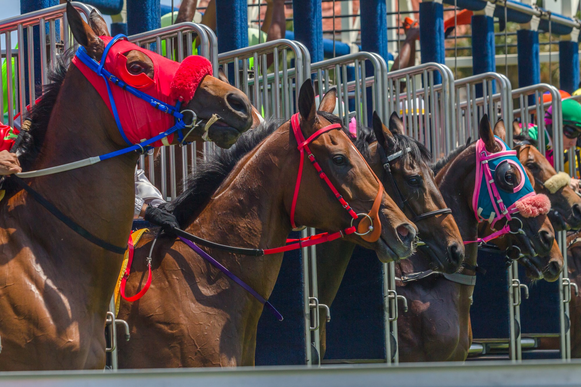 HORSEPOWER HORSEPOWER