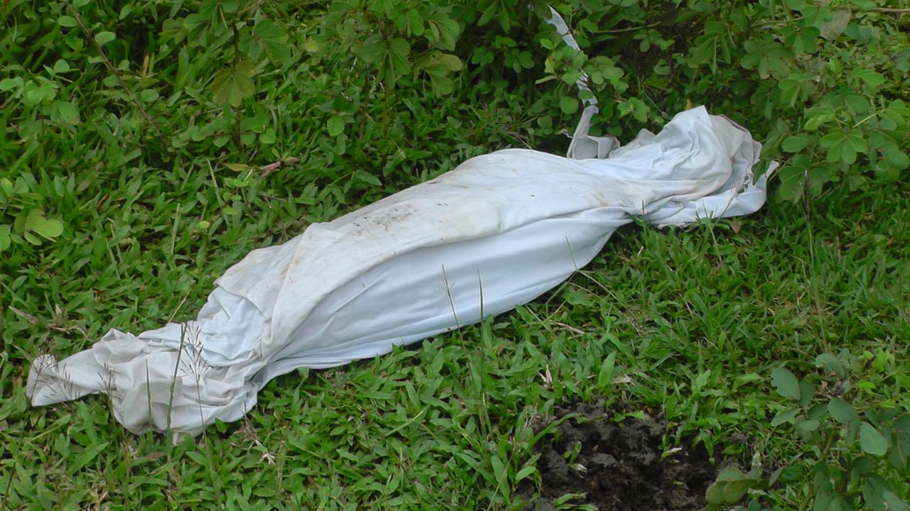 IMG-20250711-WA0004 IMG-20250711-WA0004