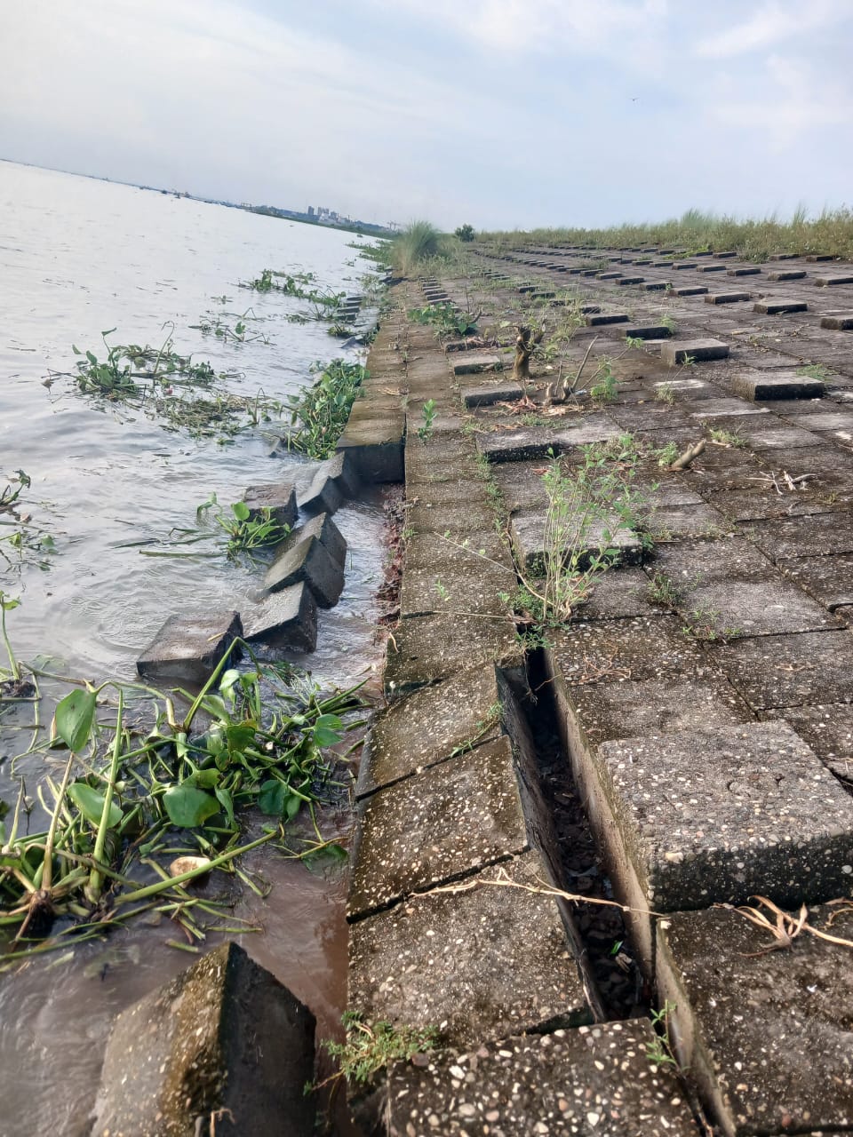 IMG-20250724-WA0022 IMG-20250724-WA0022