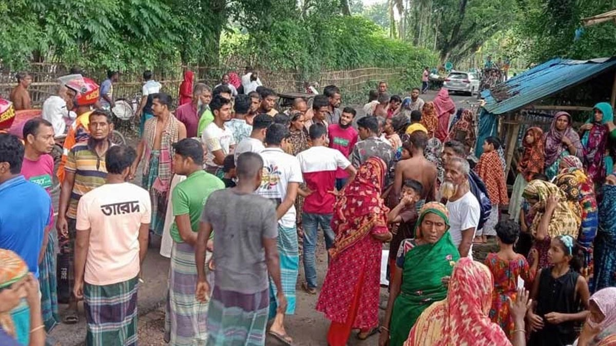 সাতক্ষীরায় পিকআপচাপায় বৃদ্ধ নিহত