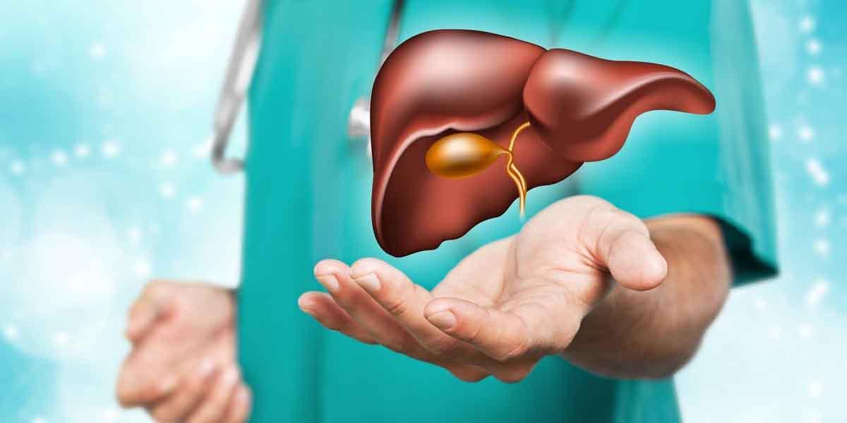 Liver_001-1732259429 Liver_001-1732259429