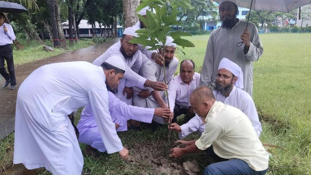 পরিবেশ রক্ষায় যুবকদের এগিয়ে আসতে হবে: মাওলানা সাইফুল ইসলাম