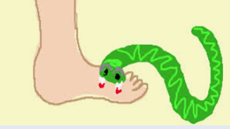 মুন্সিগঞ্জে সাপের কামড়ে শিশুর মৃত্যু