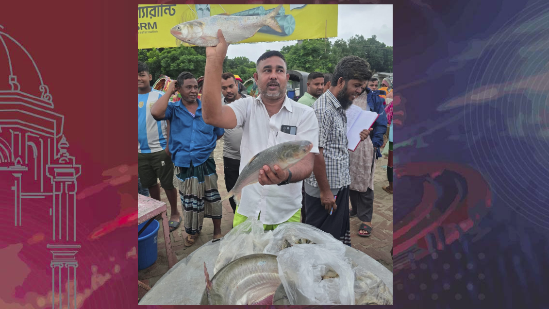 পদ্মার এক ইলিশ ৮ হাজারে বিক্রি