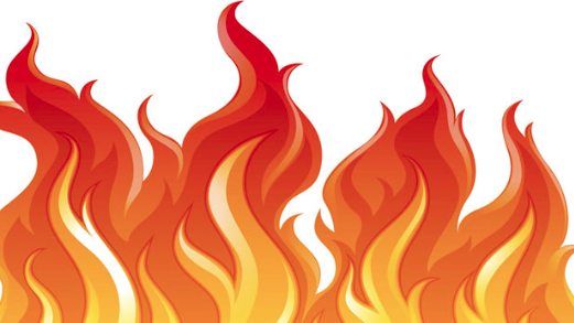 কয়েলের আগুনে পুড়লো ৩০ গবাদি পশু