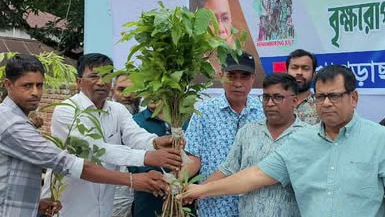 খাগড়াছড়িতে বিএনপির উদ্যোগে ৫০ হাজার বৃক্ষরোপণ