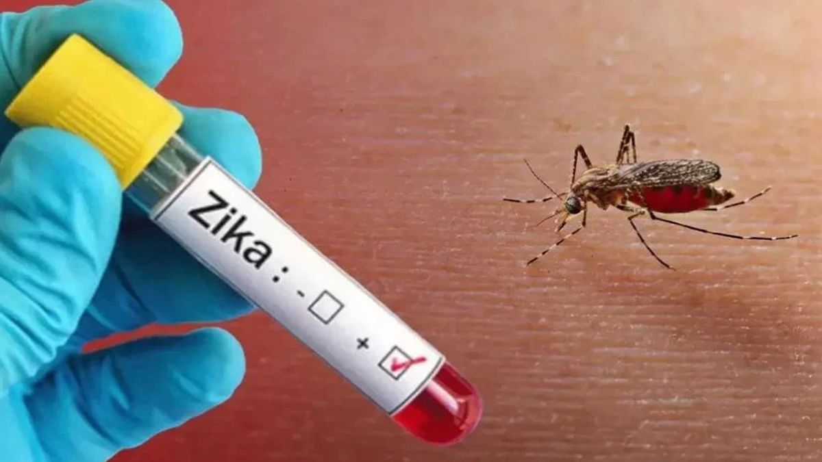 প্রথমবার চট্টগ্রামে ২ জিকা রোগী শনাক্ত