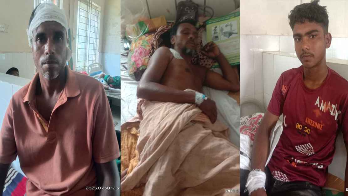 গরু ধানের চারা খাওয়ায় বাকবিতণ্ডা, ৩ জনকে পিটিয়ে জখম