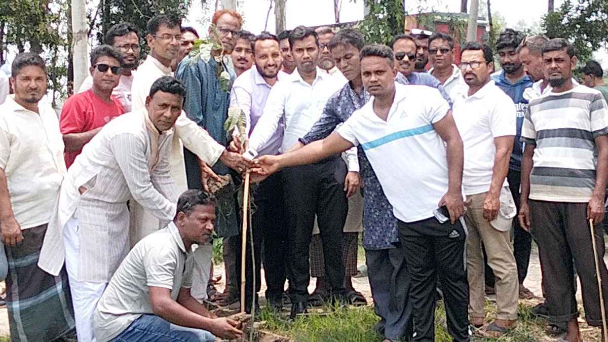 দিনাজপুরে একযোগে ৮ লাখ বৃক্ষরোপণ