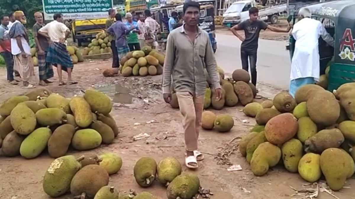 কাঁঠালের সুবাসিত গন্ধে ম-ম করছে মহাসড়ক