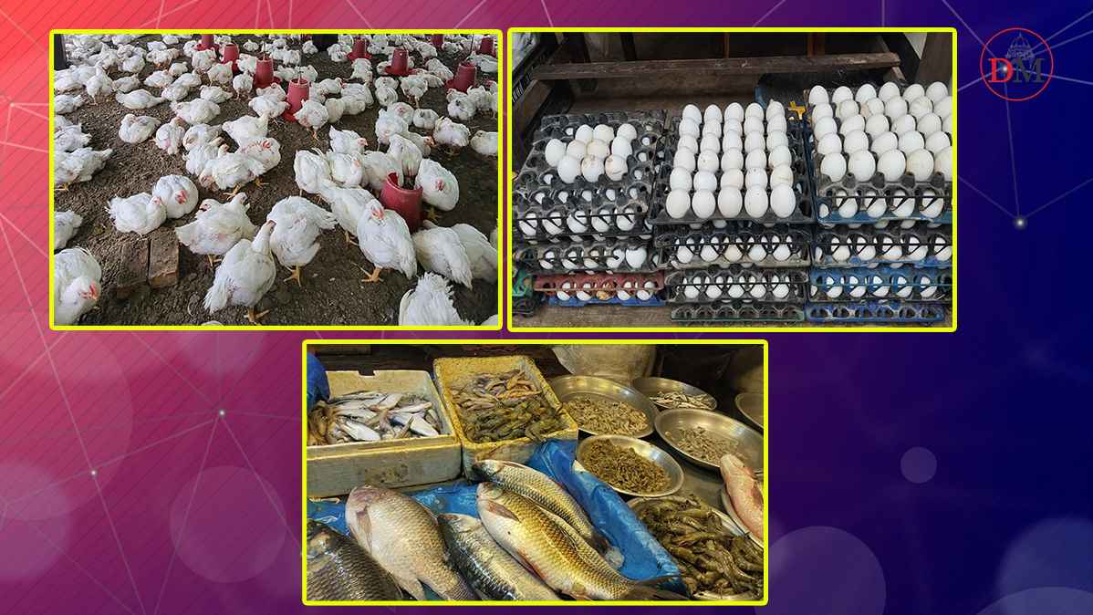 ব্রয়লার মুরগি ও ডিমের দাম ঊর্ধ্বমুখী, মাছে স্বস্তি