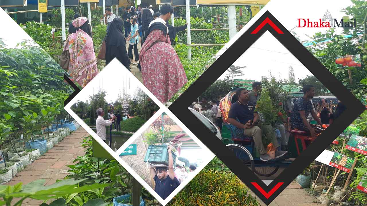 দ্বিগুণ দাম, অর্ধেকে বৃক্ষমেলার বিক্রি; সবুজায়ন স্বপ্নে খরা!