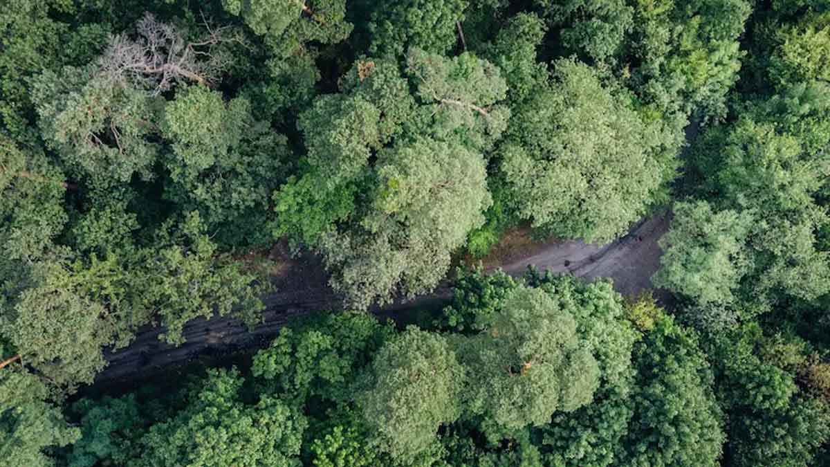 মিয়ানমারে উলফার ৪ ঘাঁটিতে ভারতের ড্রোন হামলা!