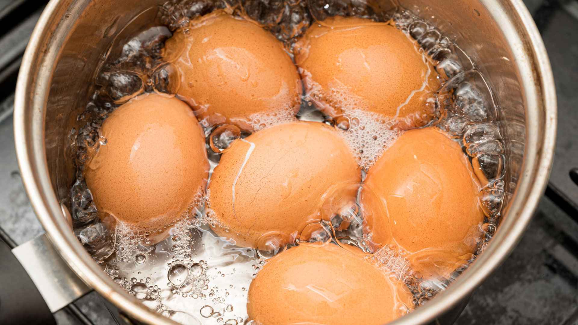 egg boiled water