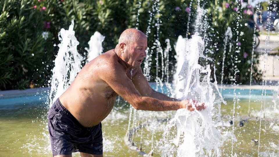 প্রচণ্ড দাবদাহে ইউরোপে মৃত্যুর মিছিল