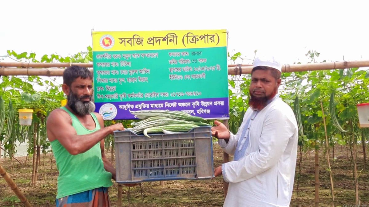 farmar_2 farmar_2