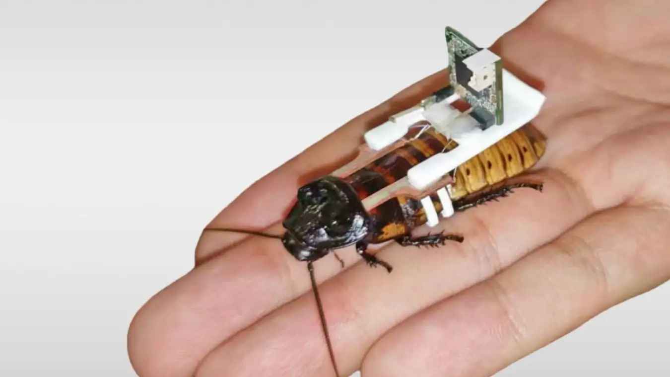 ৪৯ আরোহীসহ রুশ বিমান বিধ্বস্ত, সব যাত্রী নিহত!