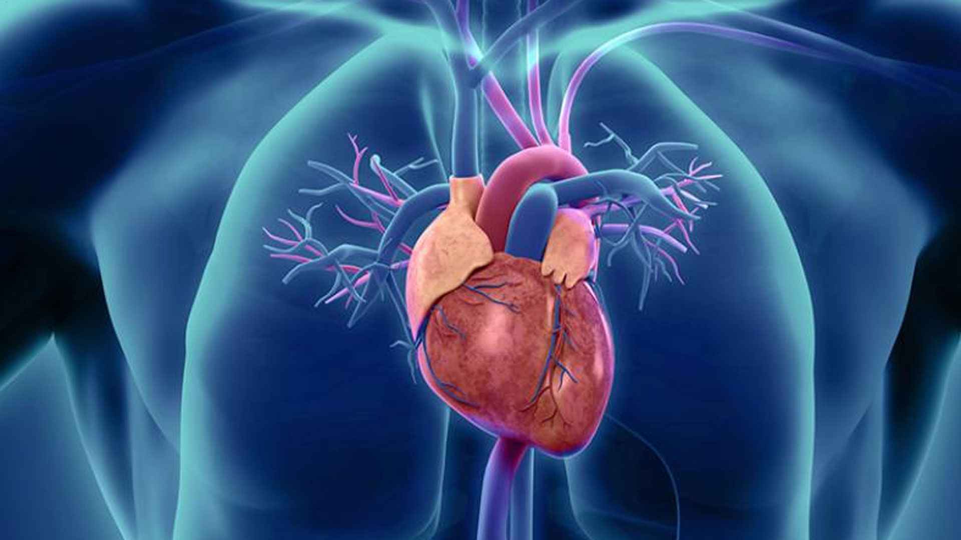 হার্ট ব্লকেজের এসব লক্ষণ এড়িয়ে যাচ্ছেন না তো?