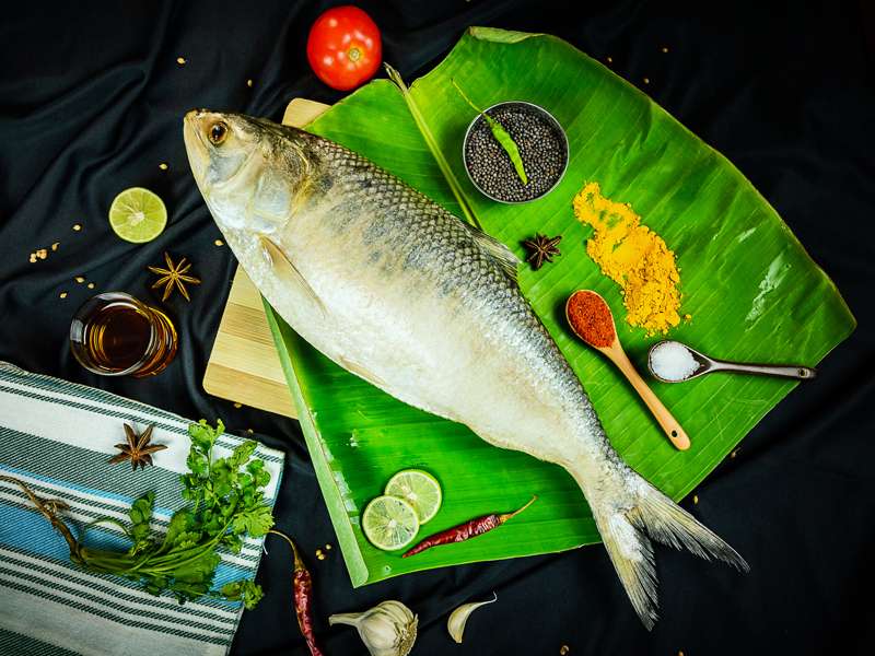ilish3 ilish3