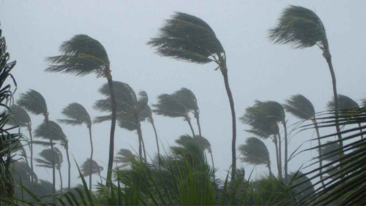 সন্ধ্যার মধ্যে ৬০ কিমি বেগে ঝড় ও ভারী বর্ষণের আশঙ্কা