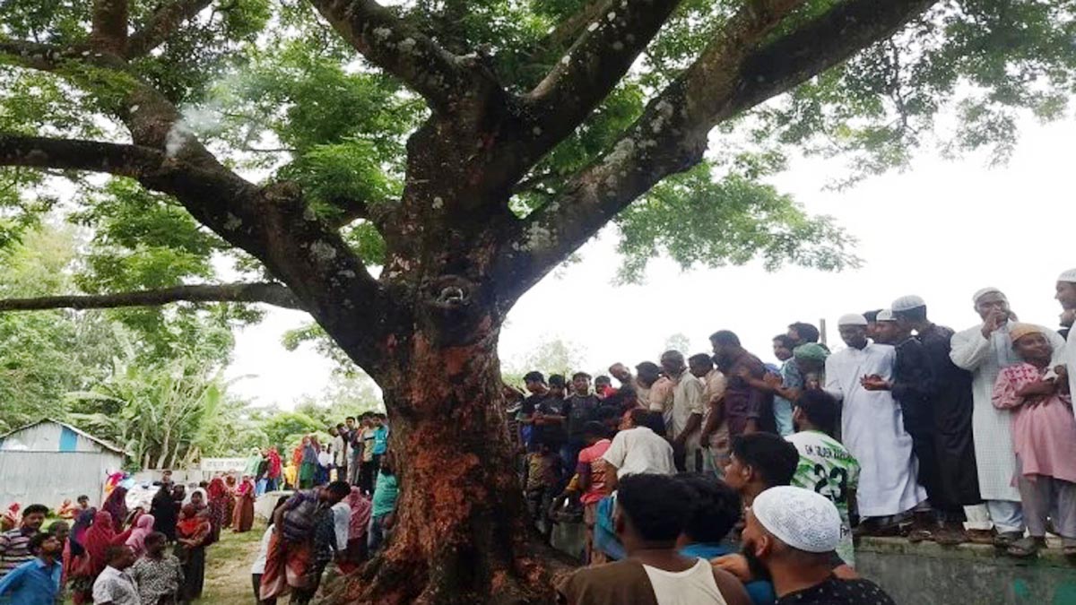 korigram_2 korigram_2