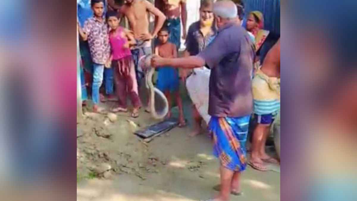 বিষধর সাপের কামড়ে প্রাণ গেল সাপুড়ের