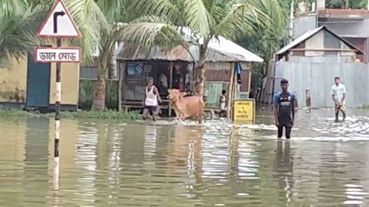 লালমনিরহাটে তিস্তায় পানি বেড়ে প্লাবিত নিম্নাঞ্চল