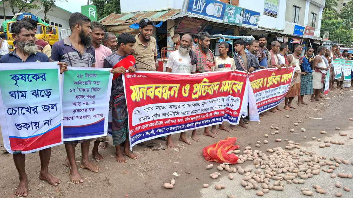 আলুর ন্যায্য মূল্যের দাবিতে সড়কে আলু ফেলে কৃষকদের মানববন্ধন