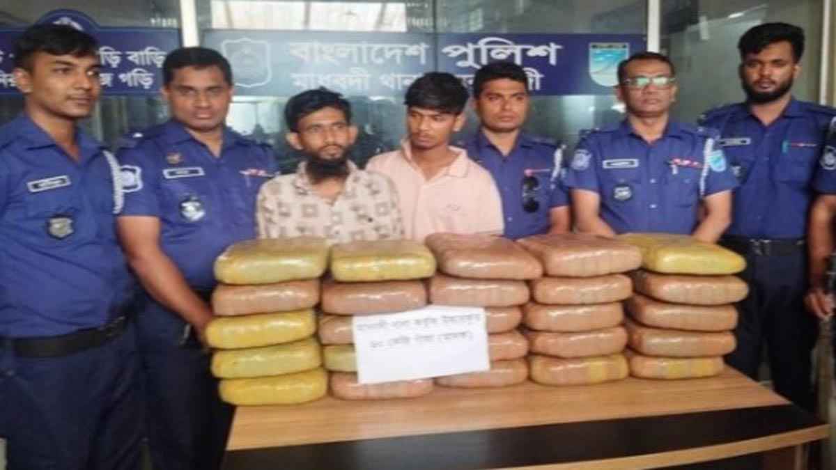 নরসিংদীতে গাঁজাসহ ২ যুবক গ্রেফতার