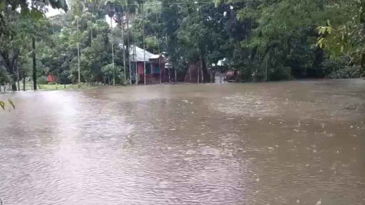 নোয়াখালীত টানা বৃষ্টিতে জলাবদ্ধতা, নাকাল সাধারণ মানুষ