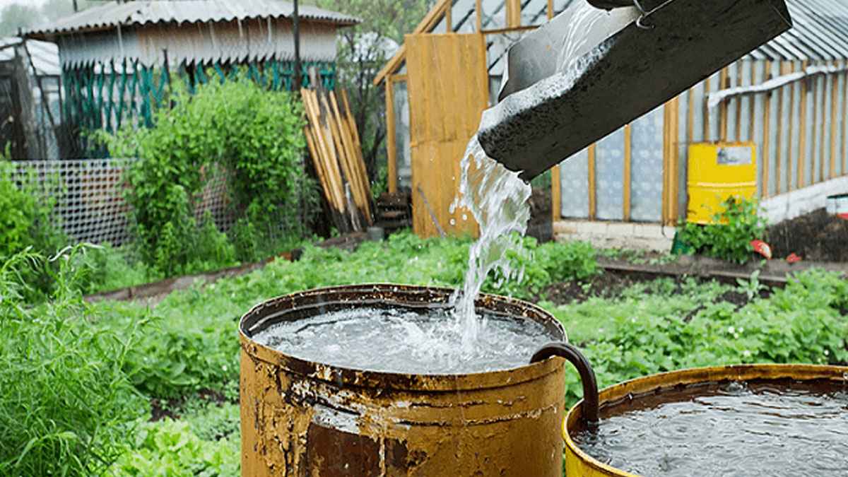 ইসলামে বৃষ্টির পানির সংরক্ষণ: সুন্নাহ ও আধুনিক প্রয়োগ