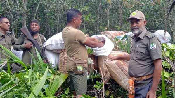 সুন্দরবনে ৯ লাখ টাকার শুঁটকি জব্দ