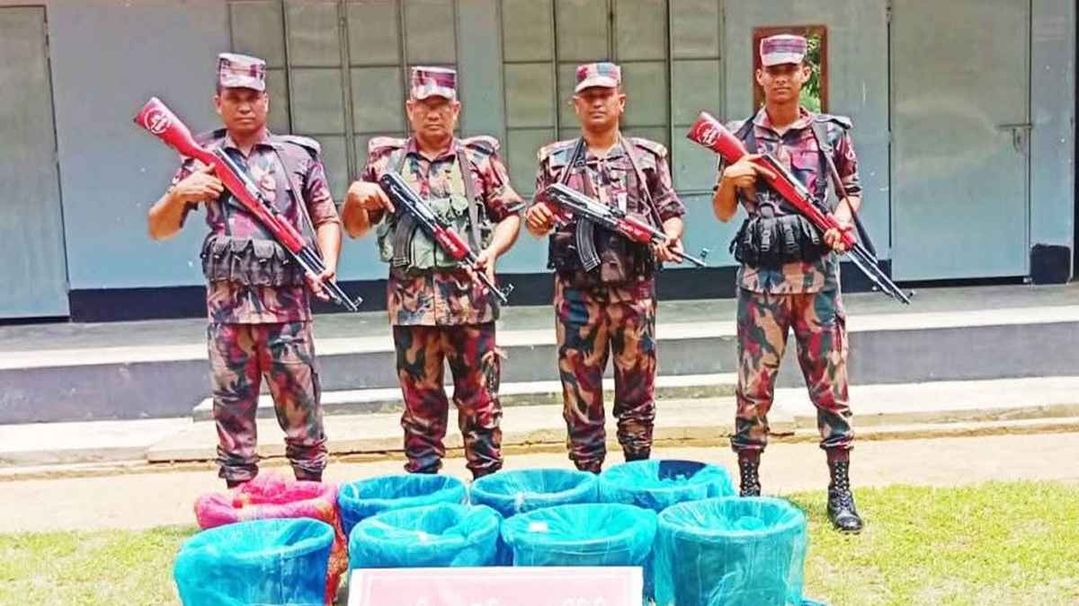 ভারতে পাচারকালে দেশীয় শিং মাছ জব্দ