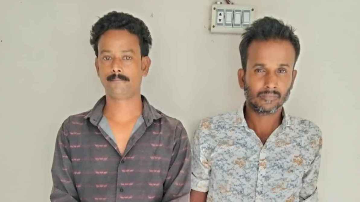 টাঙ্গাইলে নারীকে পালাক্রমে ধর্ষণের অভিযোগ, গ্রেফতার ২