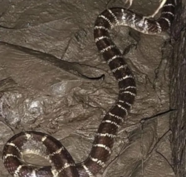 thumbnail_1000116489