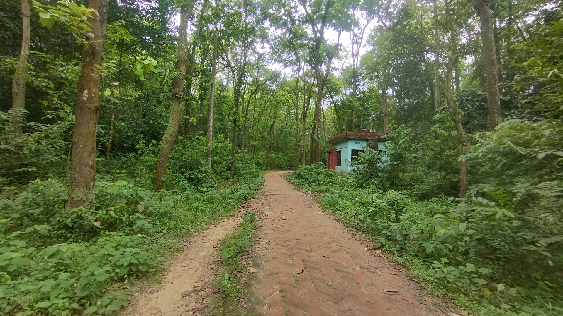 thumbnail_1000151678