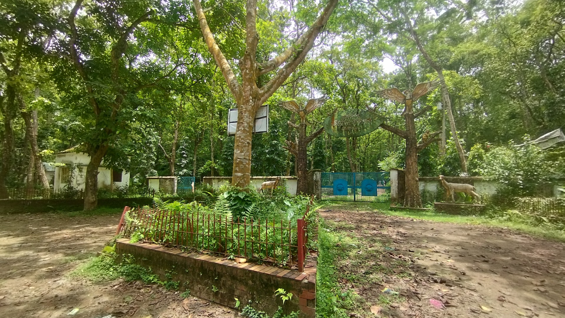 thumbnail_1000151684