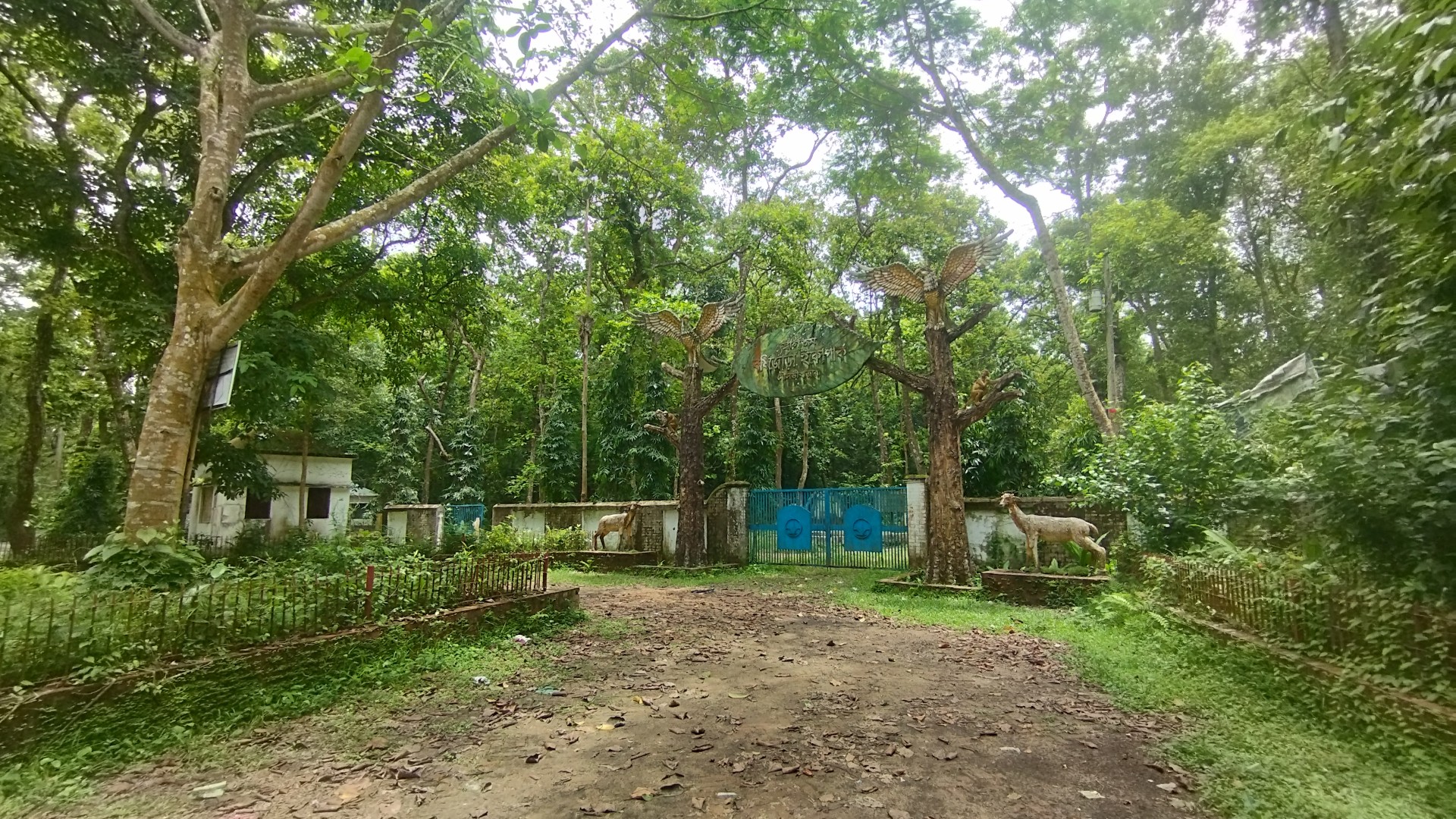 thumbnail_1000151685