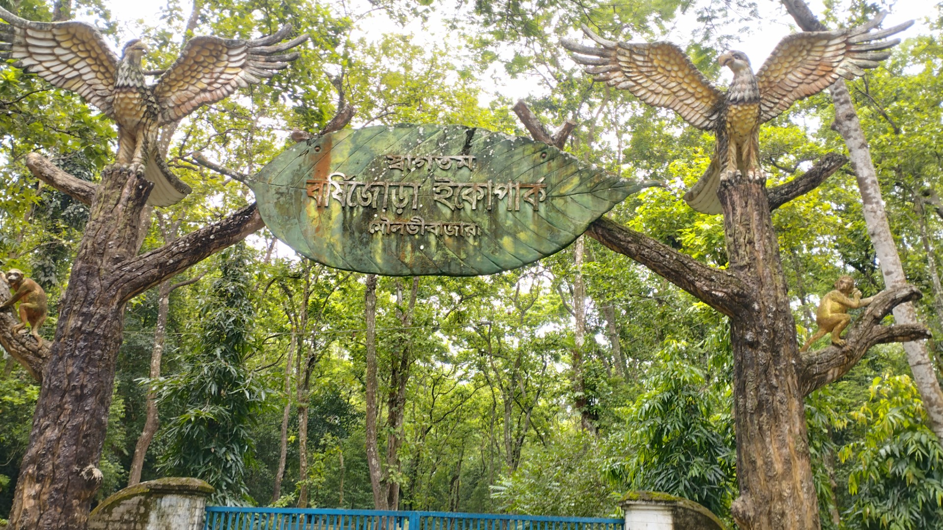 thumbnail_1000151693