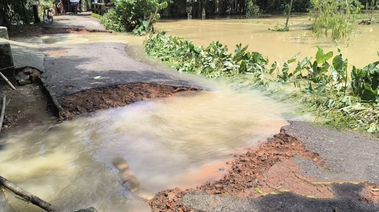 thumbnail_1000449863