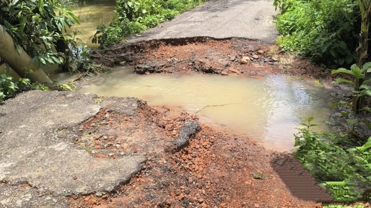 thumbnail_1000449865