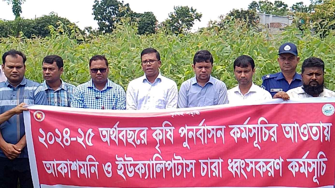 বোচাগঞ্জে ইউক্যালিপটাস ও আকাশমনি গাছের চারা ধ্বংসে প্রশাসনের অভিযান